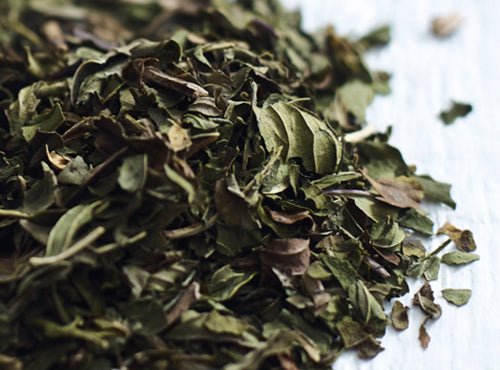 Close up photo of dried whole leaf peppermint -teapigs