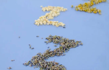 sleeping Z's formed by apple chunks, lavender and chamomile