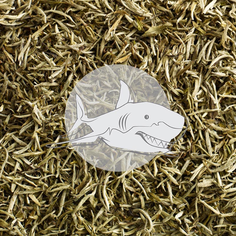 loose leaf white tea