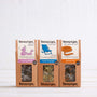 north american tea champs bundle-teapigs