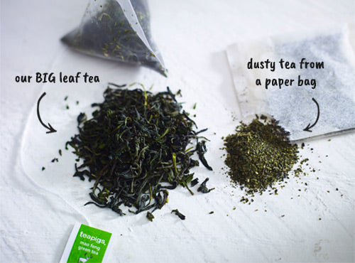 visual comparison of our big leaf tea vs dusty tea from a paper bag