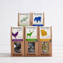 the bestseller bundle-teapigs