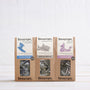 super special bundle-teapigs