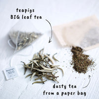 silver tips white tea