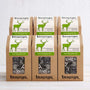 mao feng green tea bulk buy-teapigs